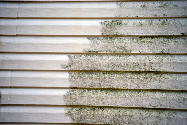 Best Demolition Debris Removal  in Winterville, GA